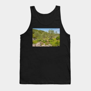 Landscape Near Nerezisca, Brac Island, Croatia Tank Top